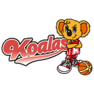 https://img.koioqz.com/img/basketball/team/95aab05e91b5fca2880f0d04c7b43b15.png