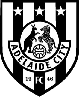 https://img.koioqz.com/img/football/team/c53c8f45736002b26511570a746b6b64.png